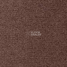 Ковролин Radici Forum Visone 2136 фото 1 | FLOORDEALER